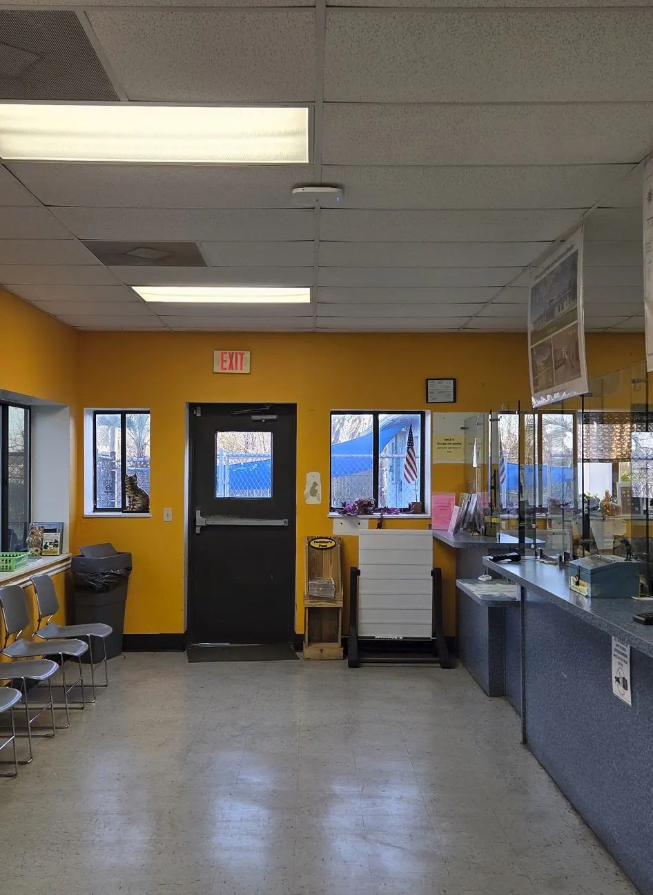 Reception area with a service counter and yellow walls